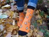 Дизайнерские носки/шкарпетки SteepySocks, високое качество... Оголошення Bazarok.ua