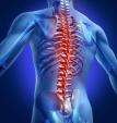 Лечение спины без операций Реабилитолог с опытом... Оголошення Bazarok.ua