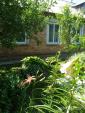 Продается дом с красивым садом... оголошення Bazarok.ua