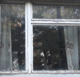 Вікна... оголошення Bazarok.ua