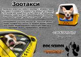 Зоотакси/перевозка животных/трансфер для питомца... Объявления Bazarok.ua