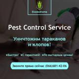 уничтожим тараканов и др.насекомых Гарантия минимум год... Оголошення Bazarok.ua