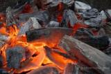 древесный уголь от производителя... Объявления Bazarok.ua