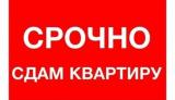 Здам двохкімнатну квартиру, автовокзал, не ріелиор... Оголошення Bazarok.ua