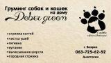 Стрижка собак и кошек на дому... Объявления Bazarok.ua