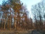 Терміново Продається ділянка в Ужгороді біля лісу... Оголошення Bazarok.ua