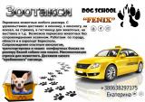 Зоотакси/перевозка животных/трансфер... Объявления Bazarok.ua