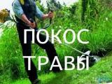 Покос тоави, скос трави, косіння вашого участка... Оголошення Bazarok.ua