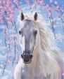 Найден белый конь... Объявления Bazarok.ua