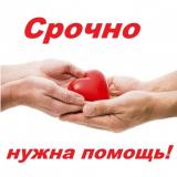 Нужна срочно помощь пожалуйста... Объявления Bazarok.ua