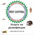 Уничтожение всех видов насекомых и грызунов. Обработка деревьев.... Оголошення Bazarok.ua