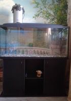 Продам аквариум 240 л.... Объявления Bazarok.ua