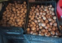 Продам дрібну картоплю... Оголошення Bazarok.ua