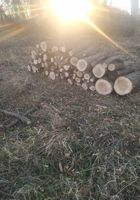 Продам дрова ясен ціна 10 складів... оголошення Bazarok.ua