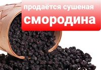Продам сушеную смородину... оголошення Bazarok.ua