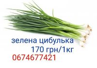 Зелена цибуля... Оголошення Bazarok.ua