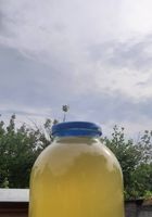 Продам мед майский... Оголошення Bazarok.ua