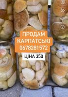 Продам мариновані білі гриби 1 л.... Оголошення Bazarok.ua