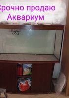Продам Аквариум... Объявления Bazarok.ua