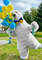 Надувний костюм Білий Ведмідь, Надувной костюм Белый Медведь... Оголошення Bazarok.ua