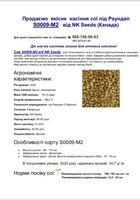 Якісне насіння сої під Раундап S0009-M2 від... Оголошення Bazarok.ua