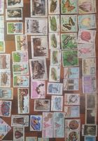 Продам почтові марки Куби... Объявления Bazarok.ua