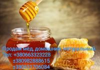 Продам мед домашний... Оголошення Bazarok.ua