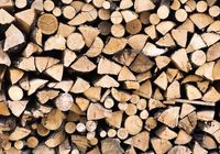 Продам дрова твердих порід.... Оголошення Bazarok.ua