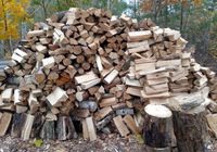 Продам дрова -колотi-метровки... Оголошення Bazarok.ua