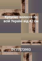 Продать волосся,куплю волося по всій Україні від 42 см... Оголошення Bazarok.ua