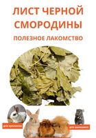 Корм (лакомство) для грызунов, лист смородины,100г... Объявления Bazarok.ua