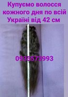 Куплю волосся по всій Україні від 42 см -0935573993... Оголошення Bazarok.ua