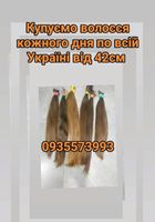 Продати волосся дорого по всій Україні від 42см -0935573993... Оголошення Bazarok.ua