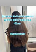 Продать волосы в Киеве и всей Украине от 42см-0935573993... Объявления Bazarok.ua