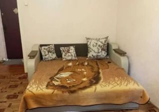 Квартира 1-кімн. оренда Киев, Днепровский &ndash; 33 м&sup2;... Оголошення Bazarok.ua