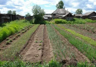 Земельна ділянка продаж Житомир... Оголошення Bazarok.ua