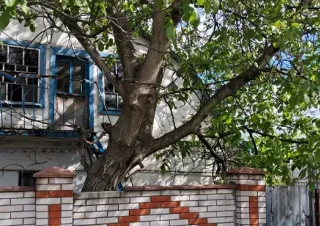 Будинок продаж Крюковщина &ndash; 85 м&sup2;... Объявления Bazarok.ua