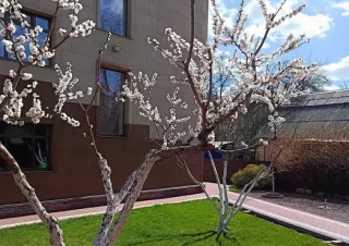 Будинок продаж Вишневое &ndash; 280 м&sup2;... Объявления Bazarok.ua