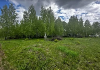 Земельна ділянка продаж Иванковичи... Объявления Bazarok.ua