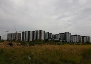 Земельна ділянка продаж Софиевская Борщаговка... Объявления Bazarok.ua